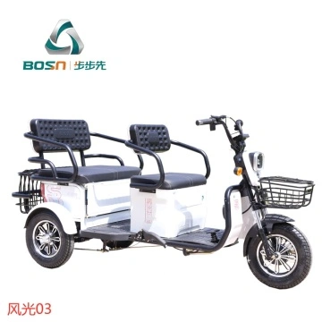Tricycle électrique online pas cher